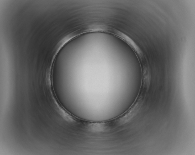 X0000113250810200909101427