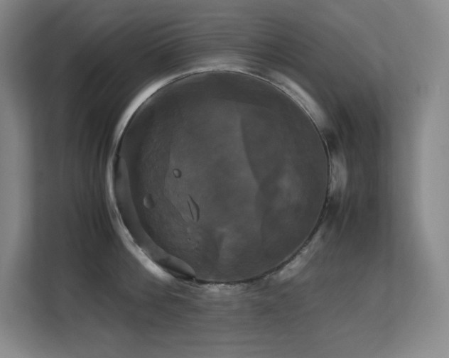 X0000113250812200909101427