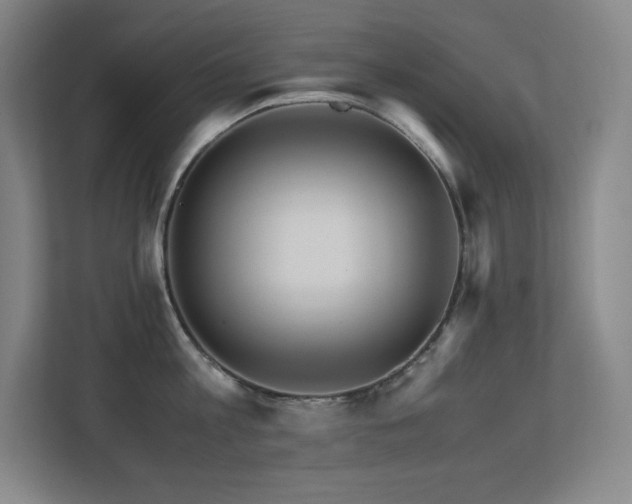 X0000113250813200909101427