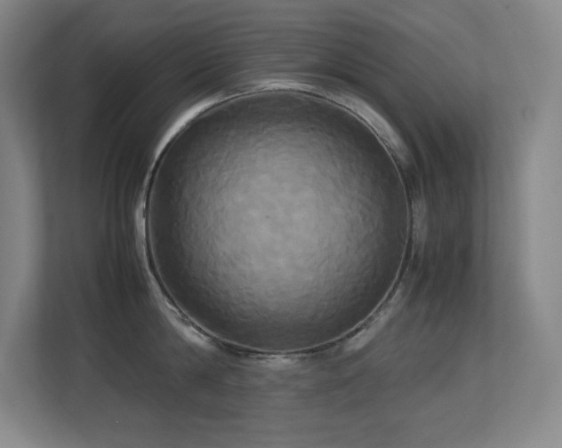 X0000113250814200909101427