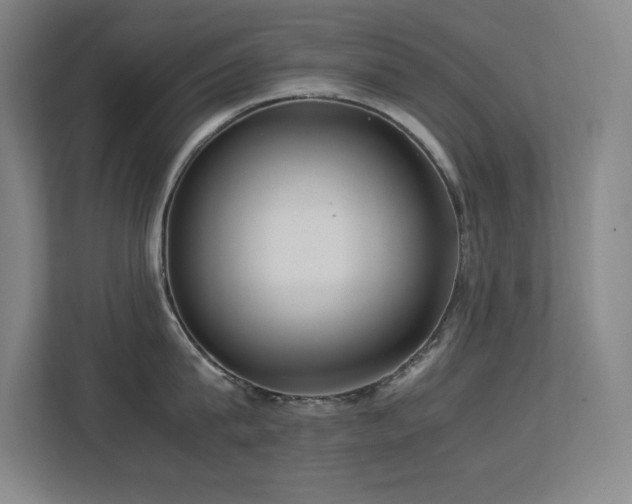 X0000113250815200909101427