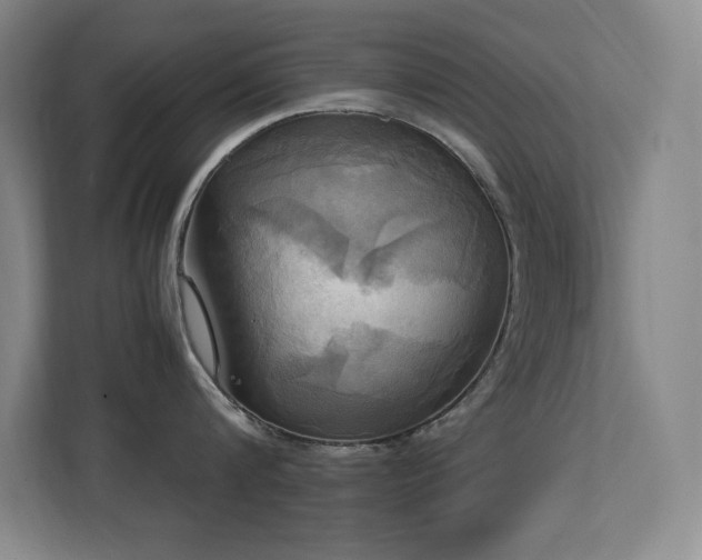 X0000113250816200909101427