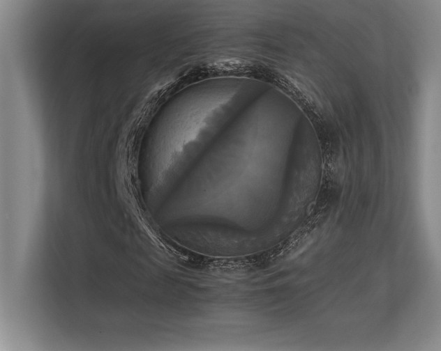 X0000113250817200909101426