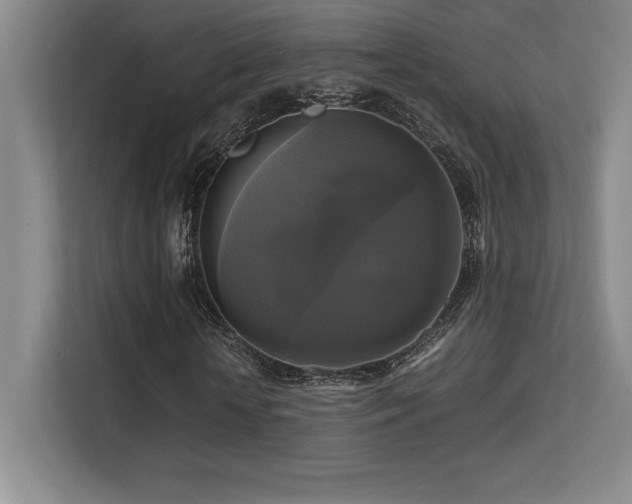 X0000113250818200909101426
