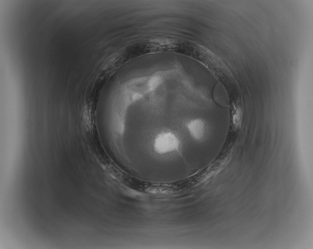X0000113250819200909101426