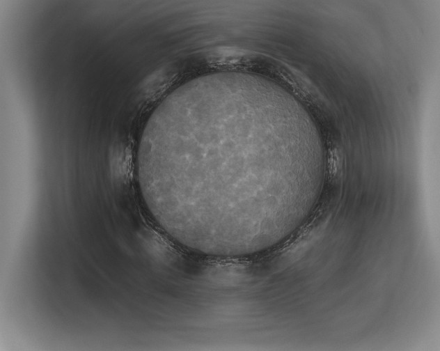 X0000113250820200909101426