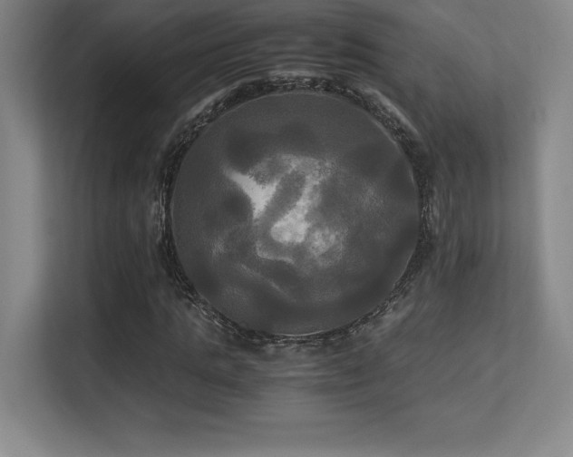 X0000113250821200909101426