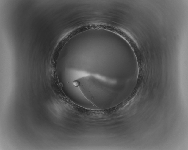 X0000113250823200909101426