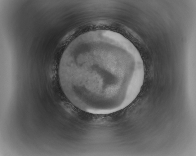 X0000113250824200909101426