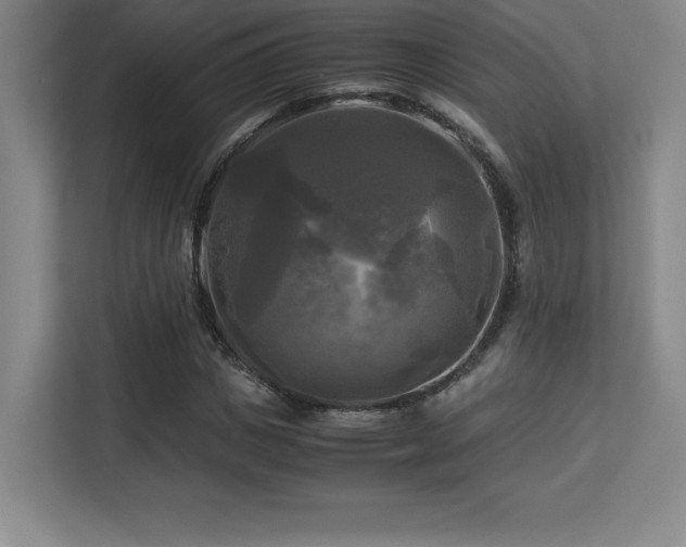 X0000113250825200909101426