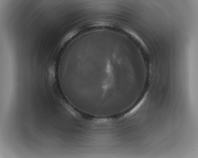 X0000113250826200909101426