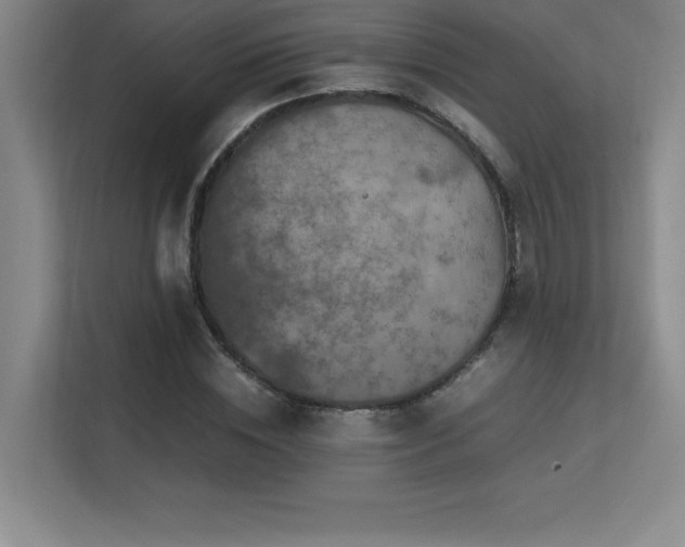 X0000113250828200909101426