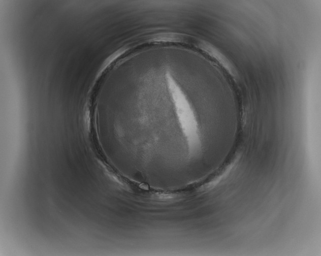 X0000113250829200909101426