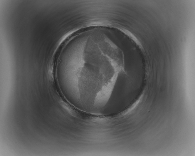 X0000113250830200909101426