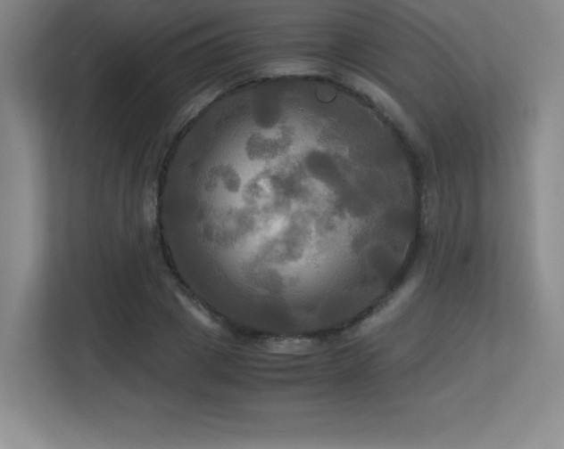X0000113250833200909101426