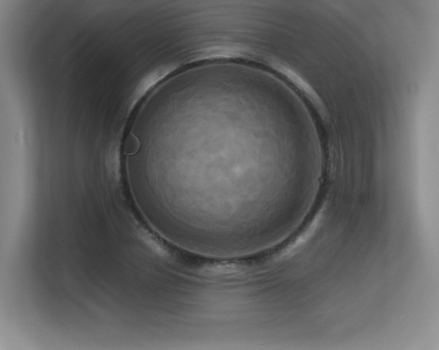 X0000113250834200909101426