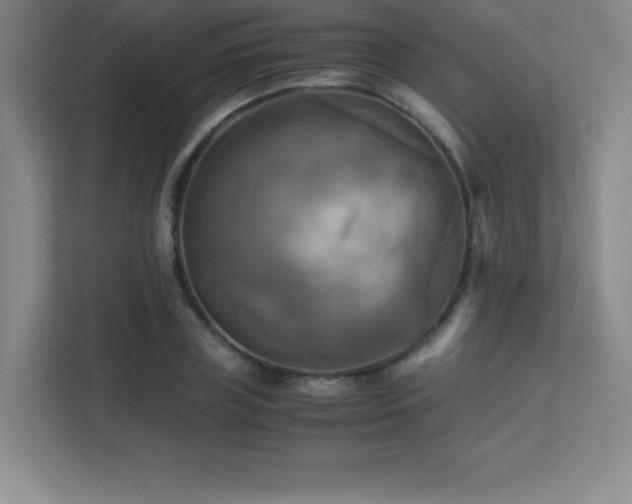 X0000113250835200909101426