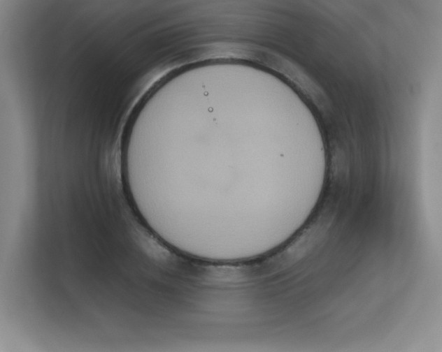 X0000113250836200909101426
