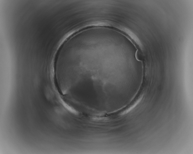 X0000113250837200909101427