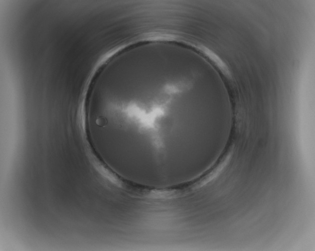 X0000113250840200909101427