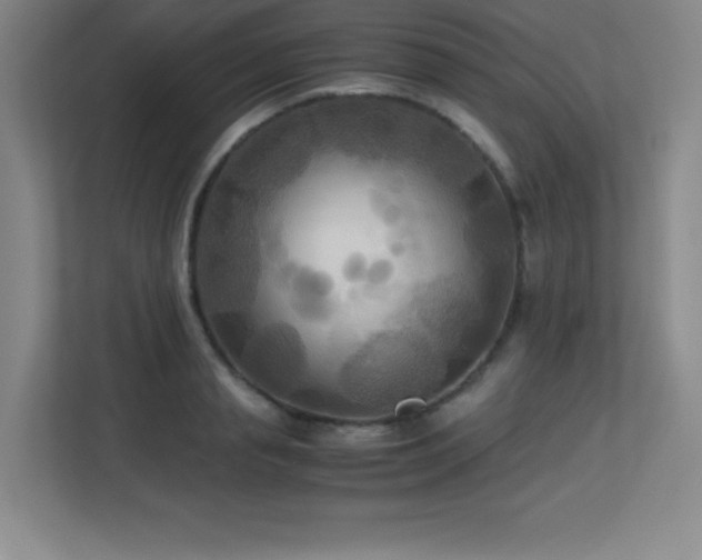 X0000113250845200909101427