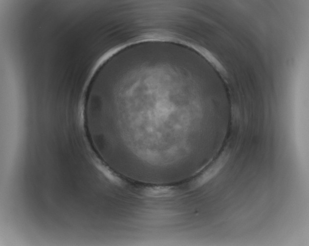X0000113250846200909101427