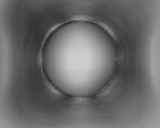 X0000113250848200909101427