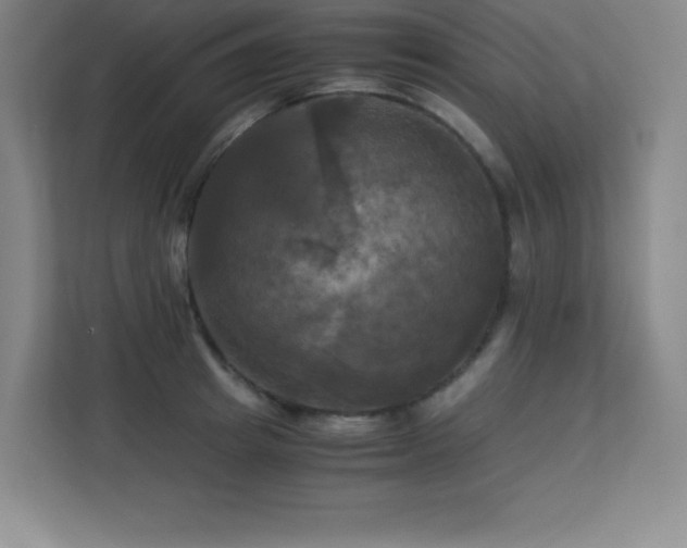 X0000113250849200909101427