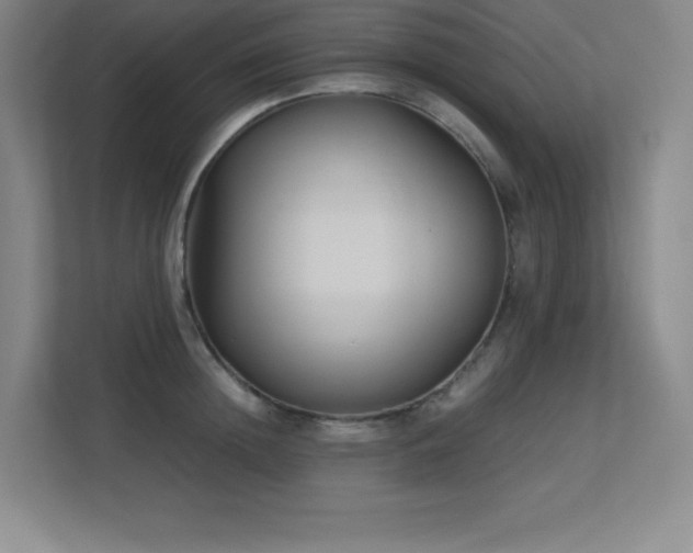 X0000113250852200909101427