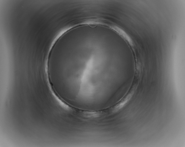 X0000113250855200909101427