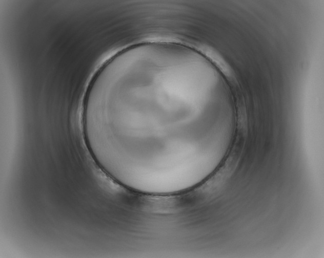 X0000113250856200909101427