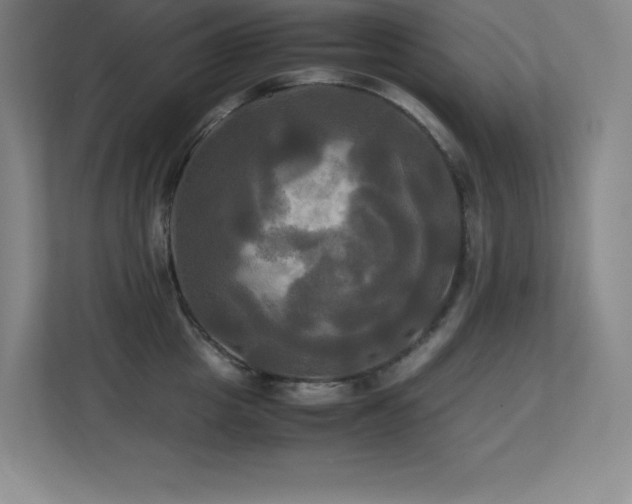 X0000113250857200909101427