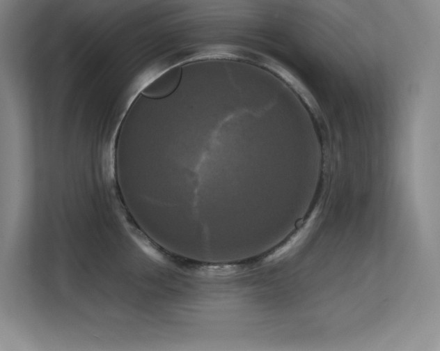 X0000113250858200909101427