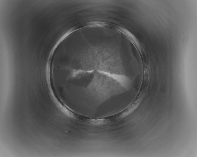 X0000113250859200909101427