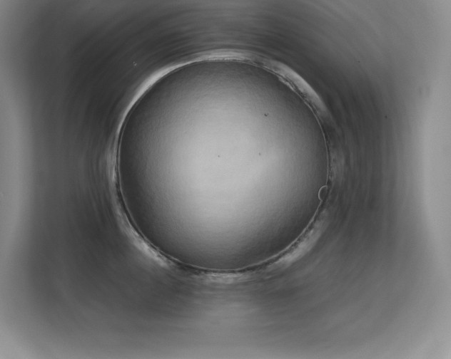 X0000113250860200909101427