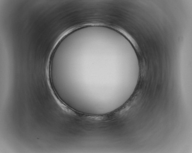 X0000113250861200909101427