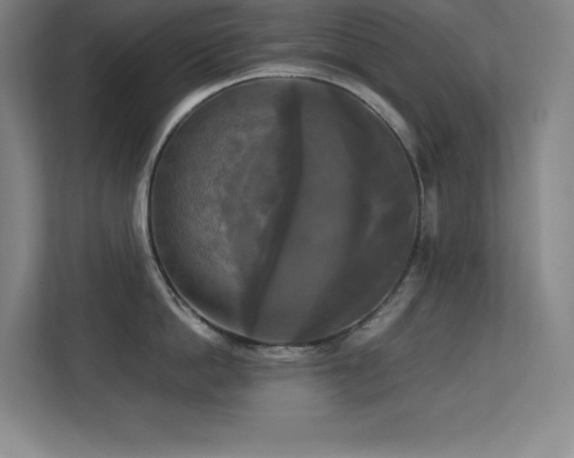 X0000113250862200909101427