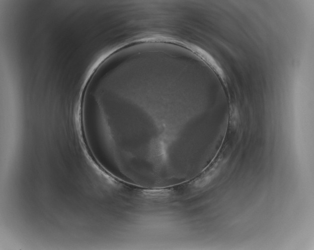 X0000113250863200909101427