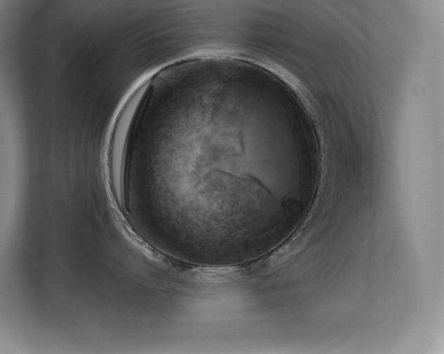 X0000113250864200909101427