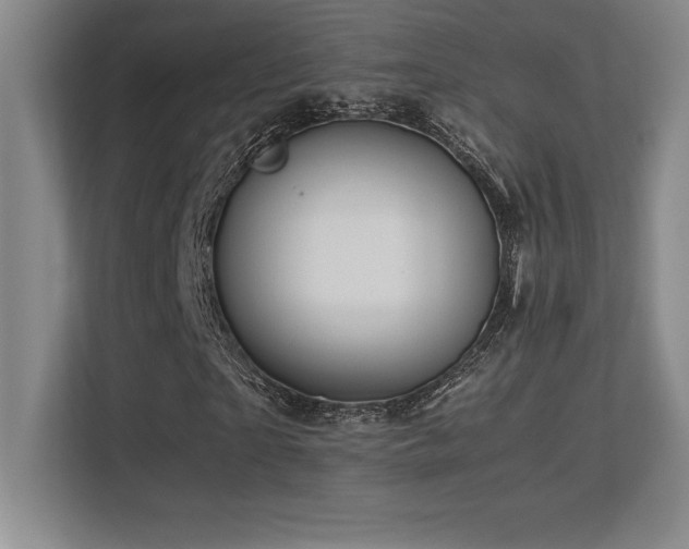 X0000113250865200909101426