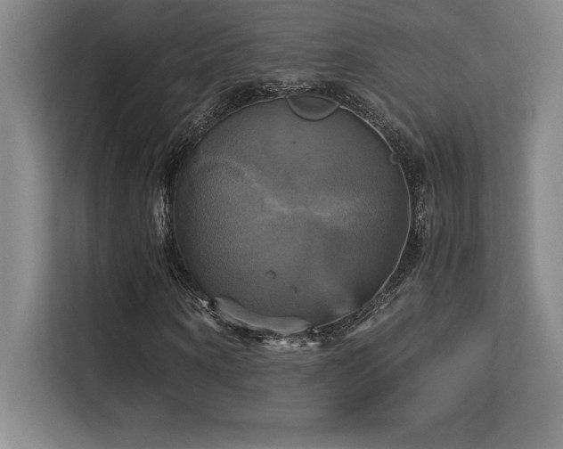 X0000113250866200909101426