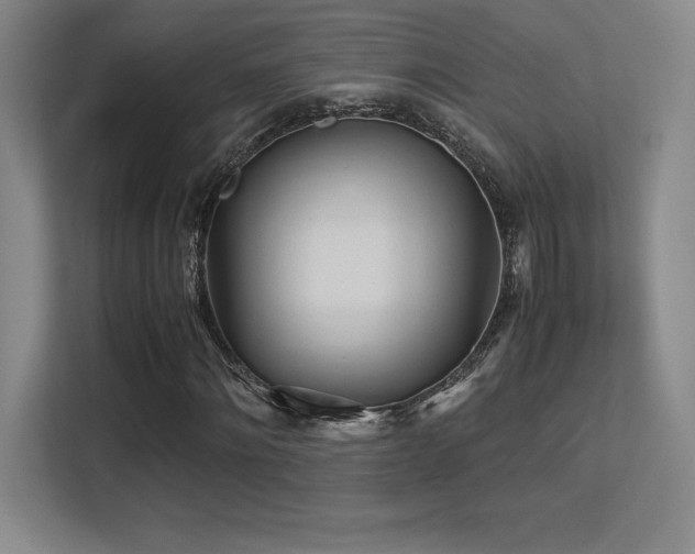 X0000113250868200909101426