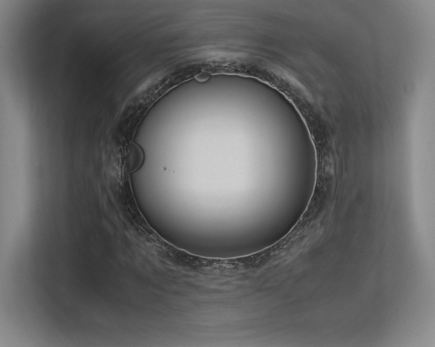 X0000113250869200909101426