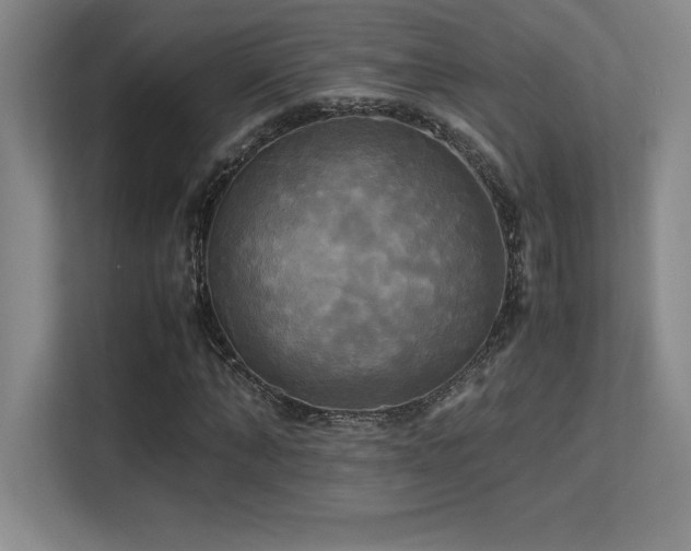 X0000113250870200909101426