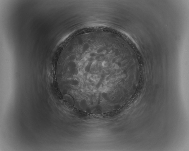 X0000113250871200909101426