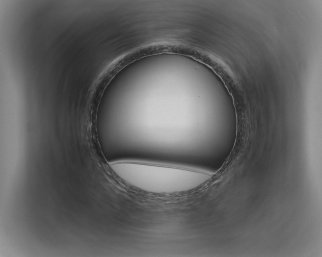 X0000113250872200909101426