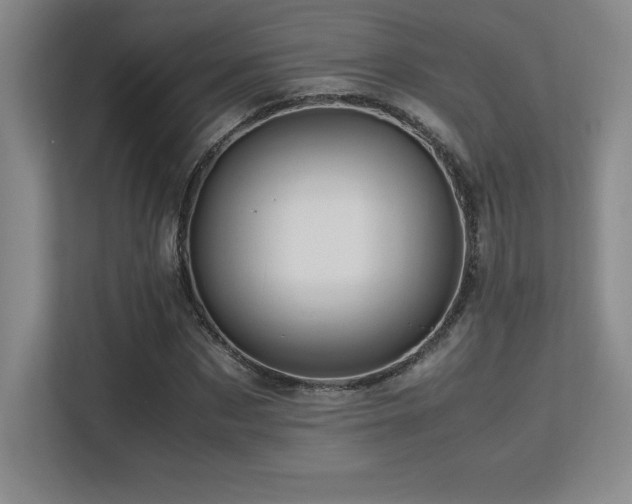 X0000113250873200909101426