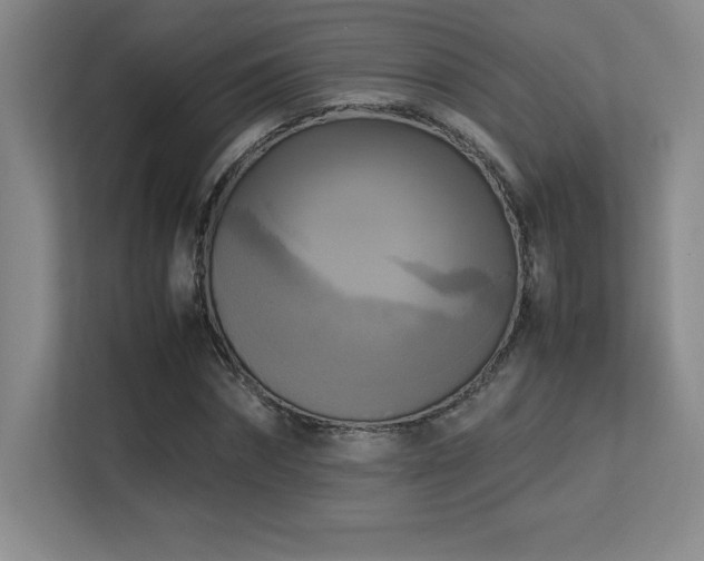 X0000113250874200909101426