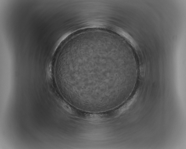 X0000113250875200909101426