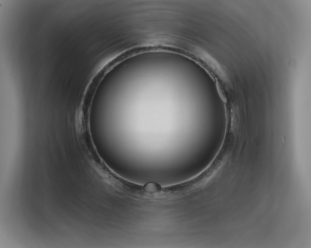 X0000113250876200909101426